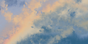 ¿Cuál es su razón de ser? (Alejandro Marchesán)