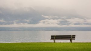 El arte de habitar la incertidumbre: los seis tipos de soledad (Pema Chödrön)